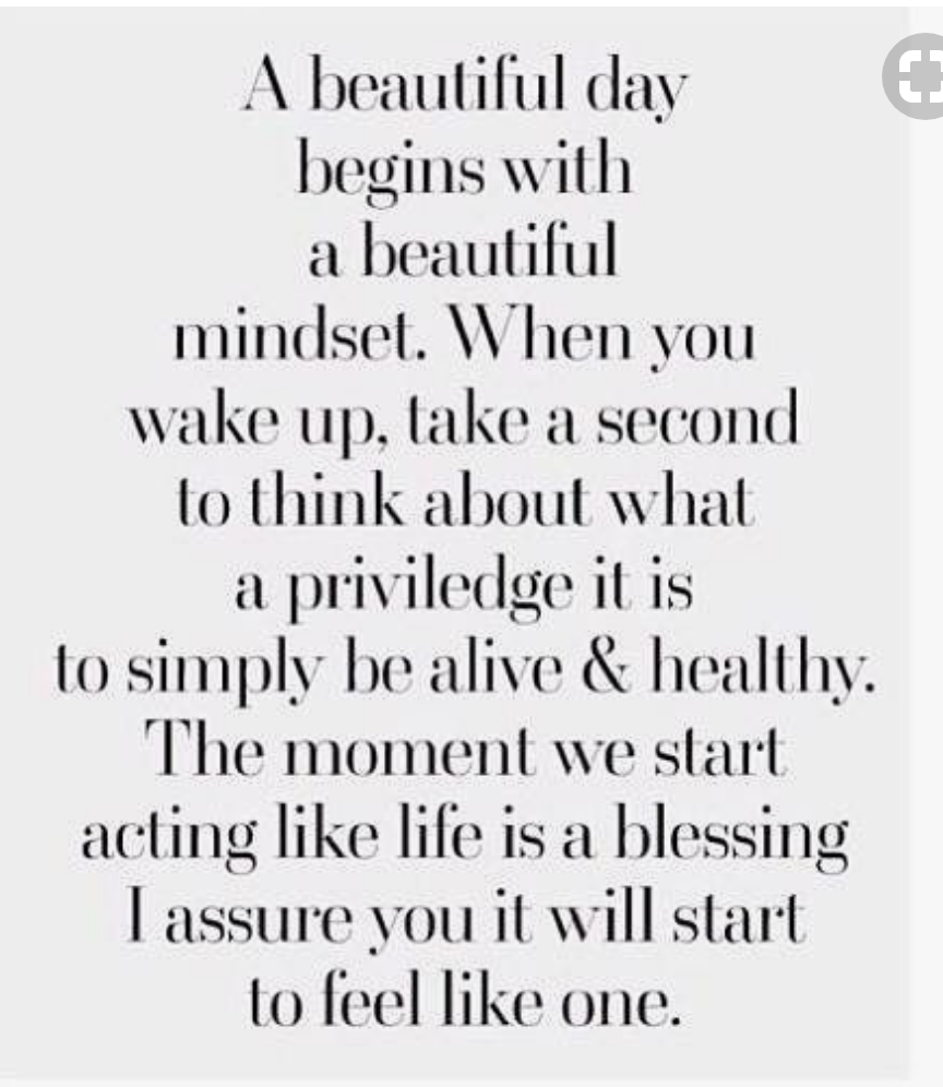 Screen Shot 2018-01-03 at 10.16.13 pm