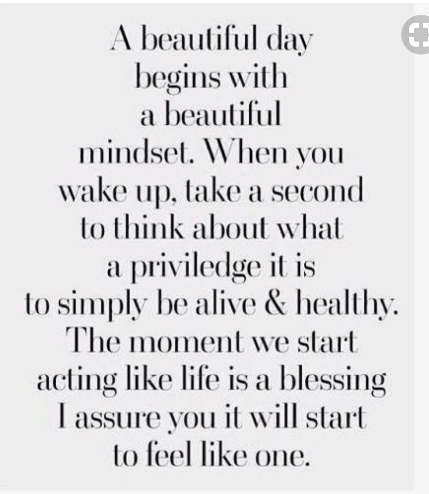 Screen Shot 2018-01-03 at 10.16.13 pm